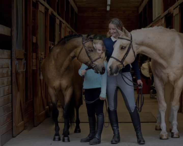 Horses
